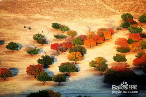 王的宫殿代钦塔拉旅游攻略