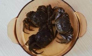 吮指油炸香辣六月黄