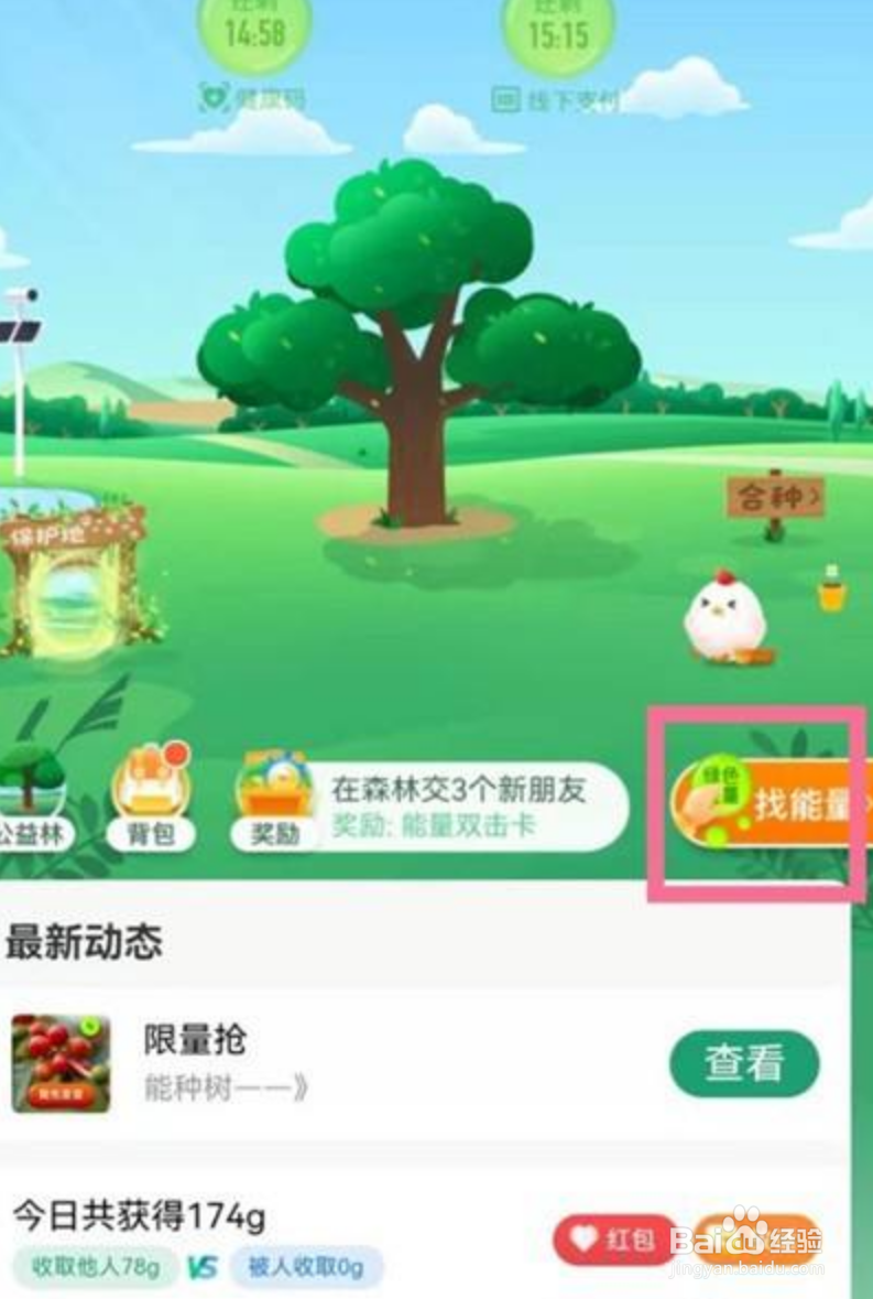 支付宝能量雨在哪里