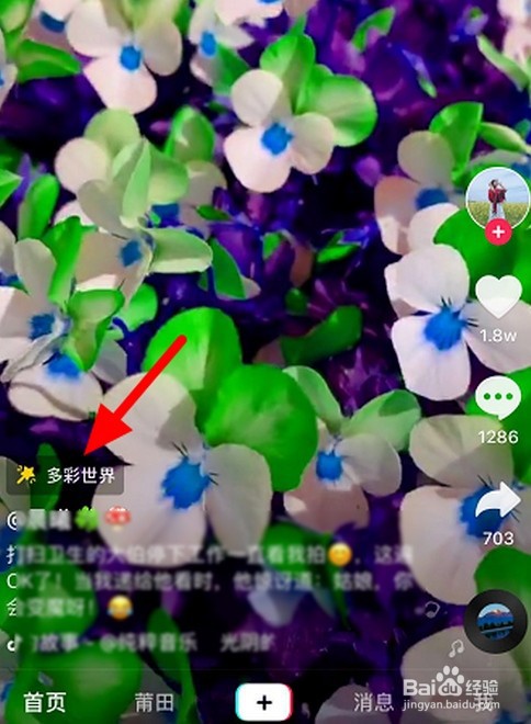 抖音多彩世界特效在哪里?