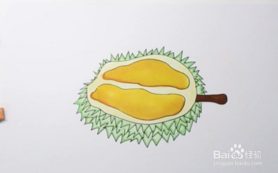 榴莲果壳怎么画