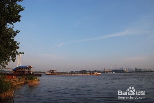 南京八卦洲旅游攻略