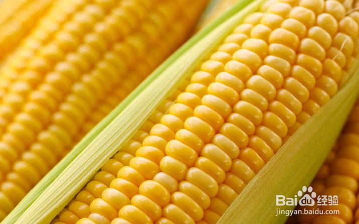 吃玉米的好处与坏处有哪些