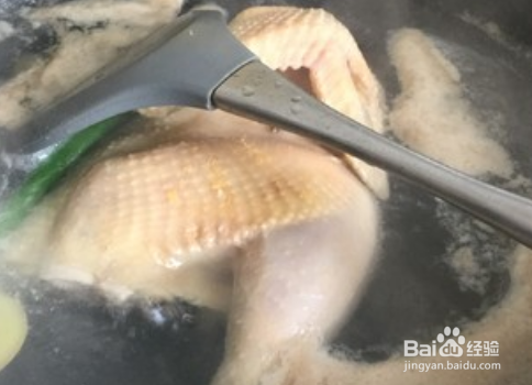 如何烹饪槽香三黄鸡？