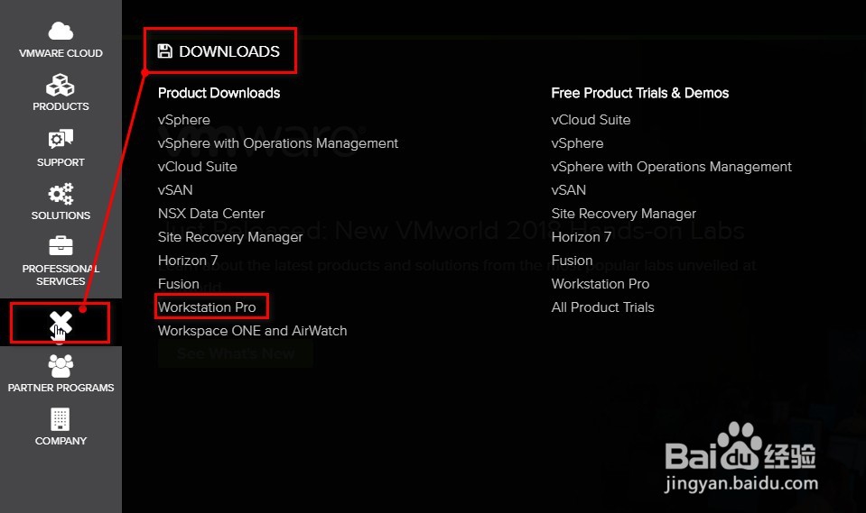 【VMware】Win10系统下软件的下载和安装