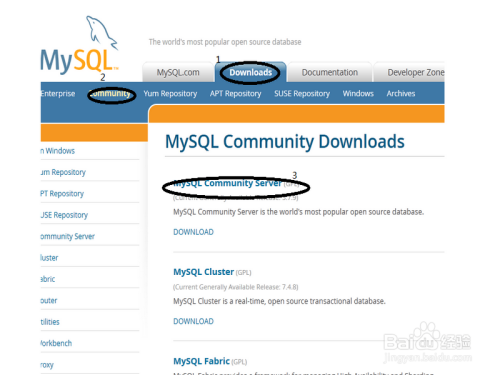 MySql的下载和安装（解压版）