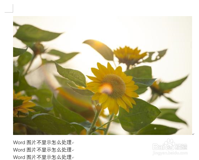word插入图片不显示怎么解决