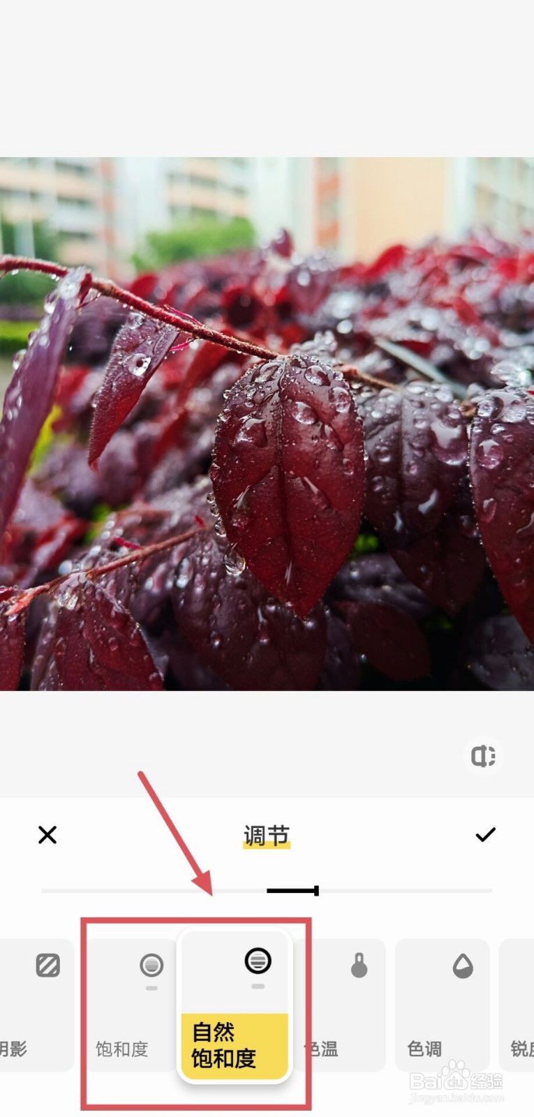 手机如何提高照片清晰度