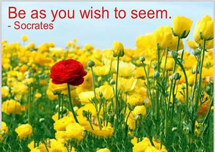 为什么seem后面要加to be