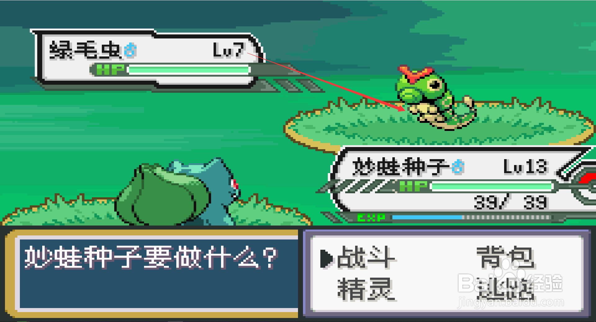 口袋妖怪特别篇赤绿毛虫在哪里抓