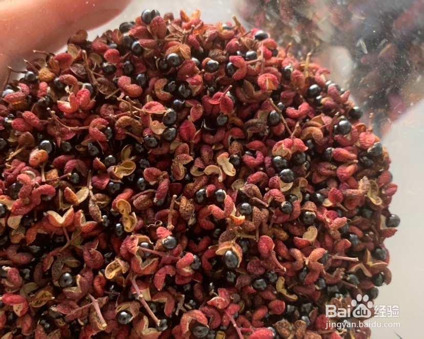 妈妈教你做酸菜鱼巴沙鱼