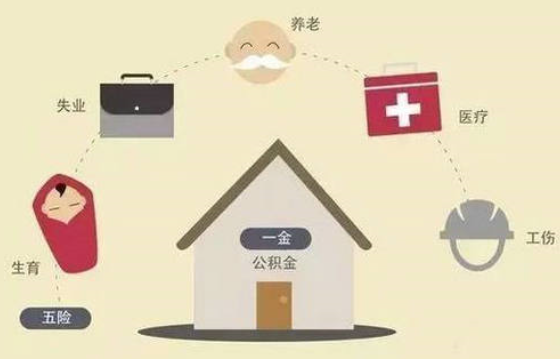 社保三险是哪三险