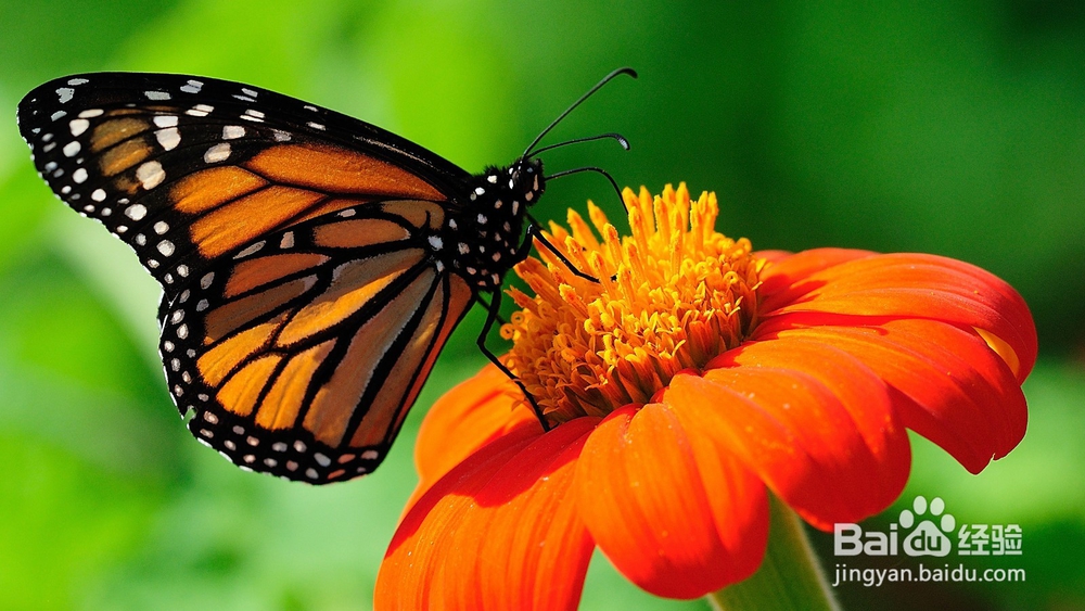 如何合理的安排答卷时间