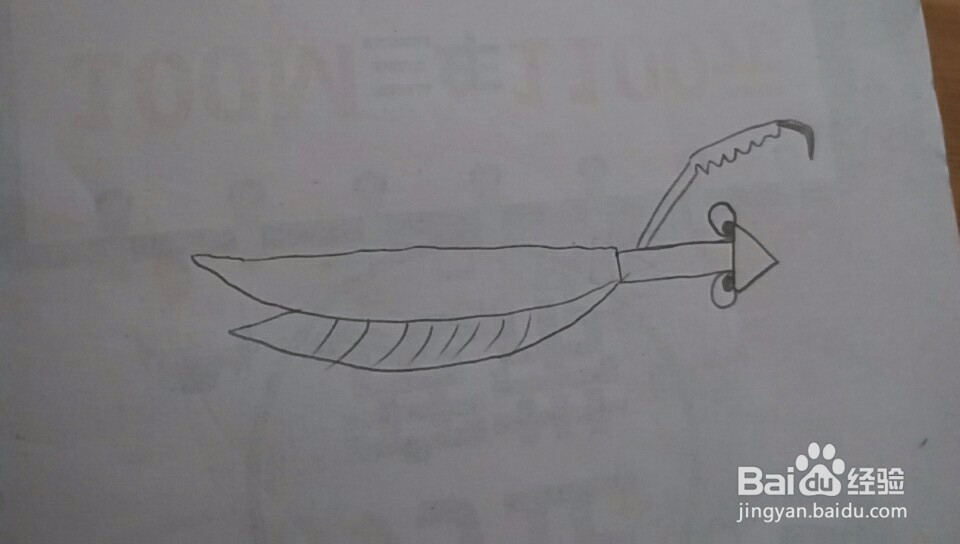 多妈简笔画一只螳螂