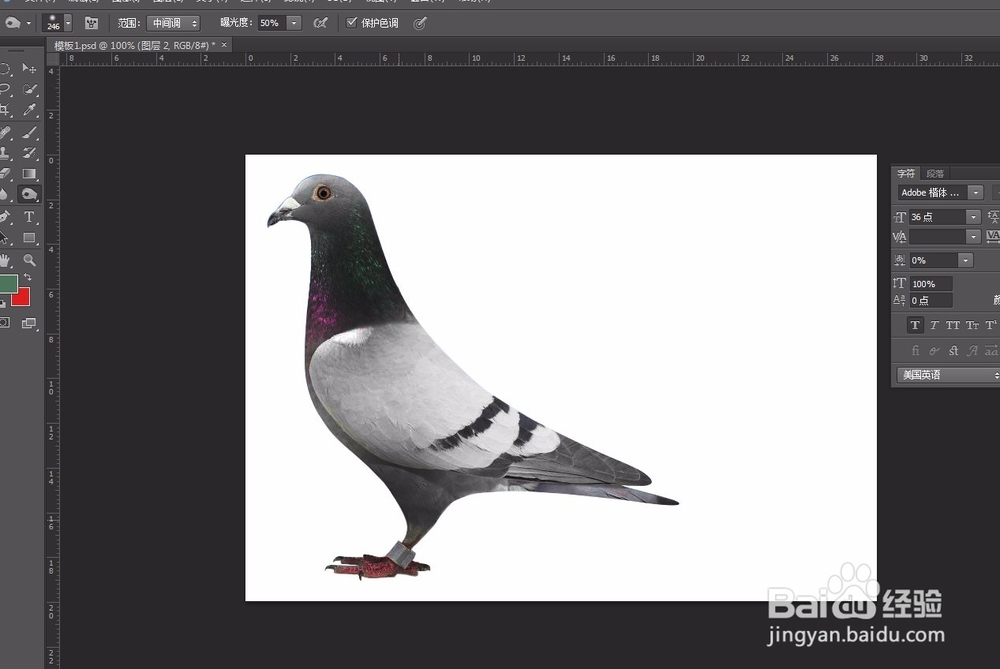 ps新手教学 必学7