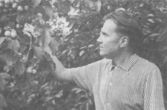 关于志气的名人名言