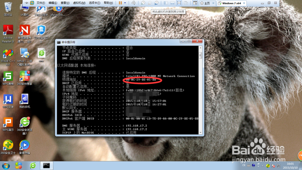 如何快速查看电脑MAC地址