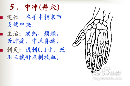 中医经络知识之手厥阴心包经图解