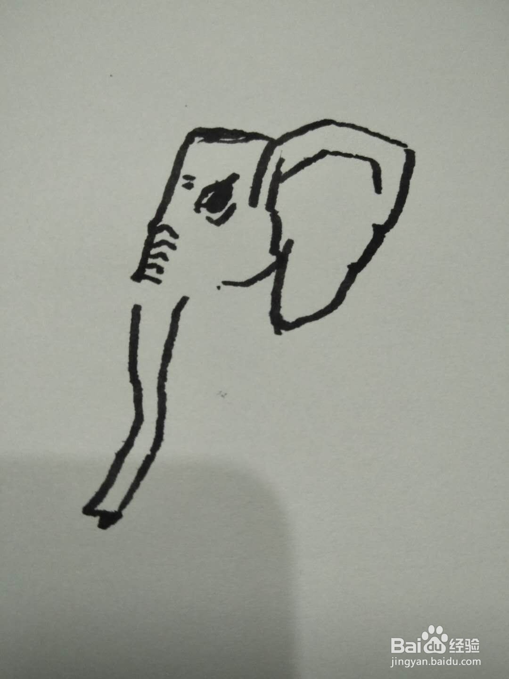 简笔画之大象侧面