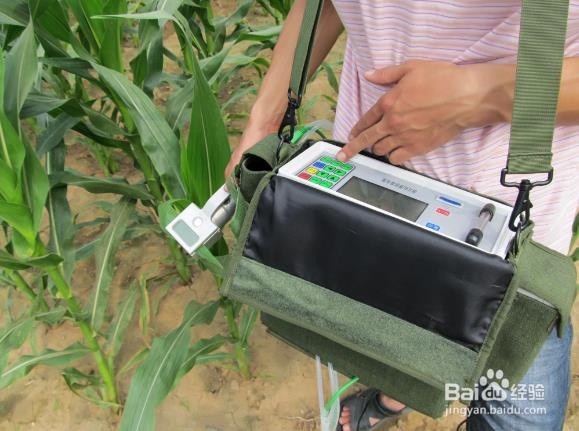 植物光合作用测定仪特点及使用