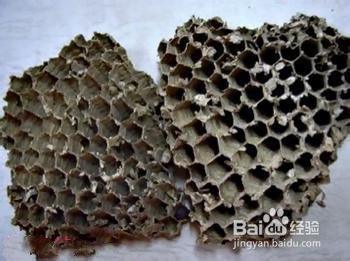 治疗多种疾病蜂蜜的食物疗法
