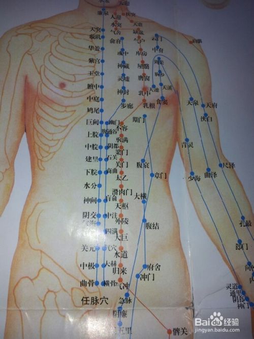 哪些穴位可以减肥