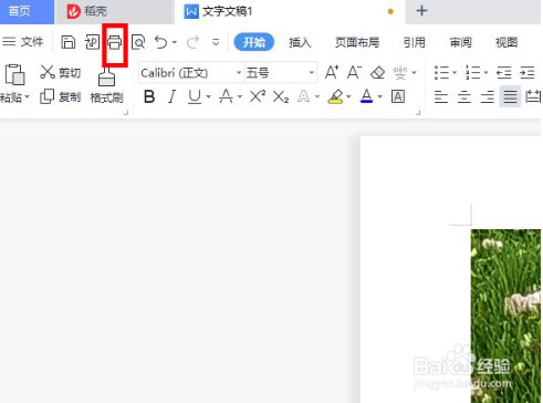 WPS怎么打印固定文档页