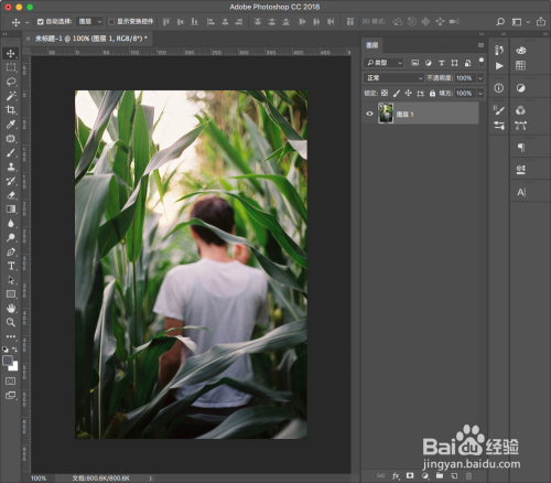 如何使用Photoshop使照片变得通透鲜亮