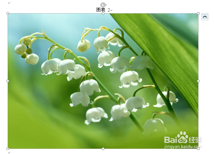 word如何快速统一图片大小