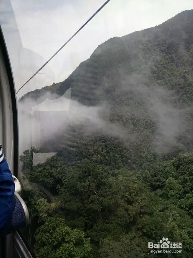 明月山旅游游记攻略