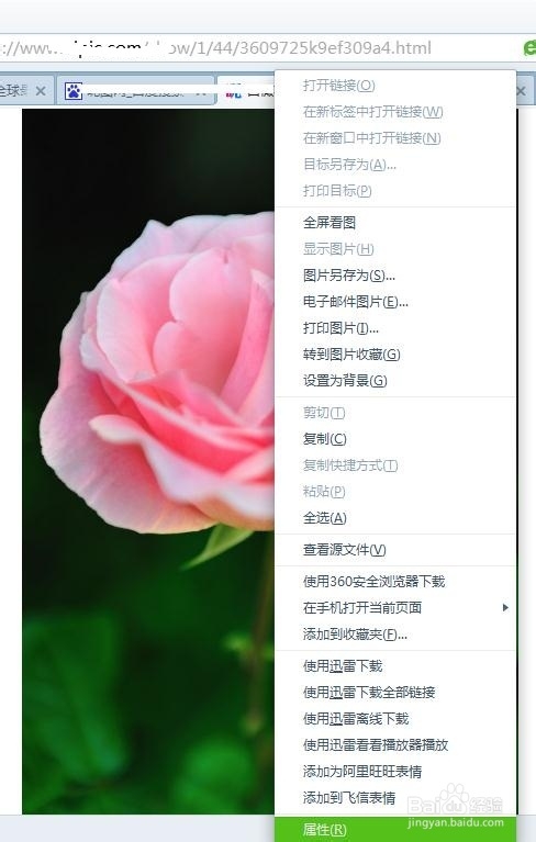 “以图搜图”网络图片查源利器——百度识图