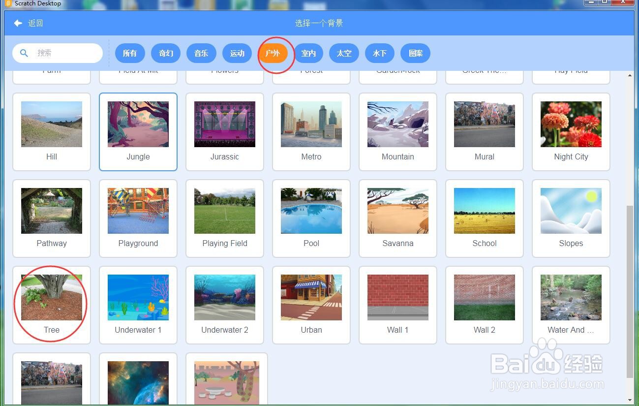 怎样在scratch中创建森林中的猫和巨嘴鸟背景