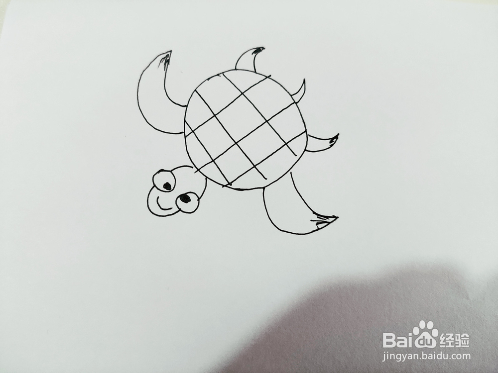水里游的乌龟简笔画分享