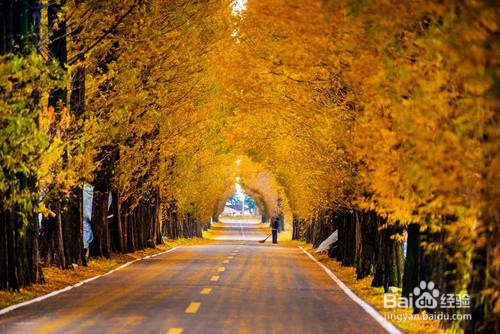 218省道旅游攻略