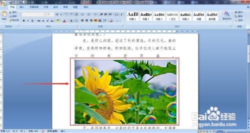 word图片显示不全怎么办