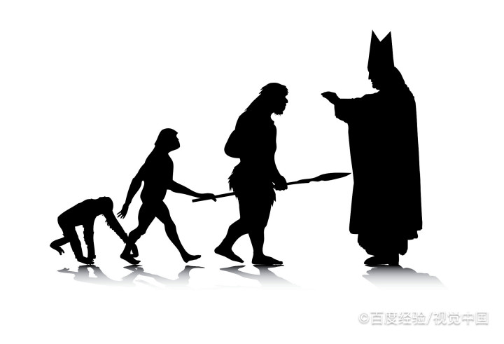 人是怎么进化的