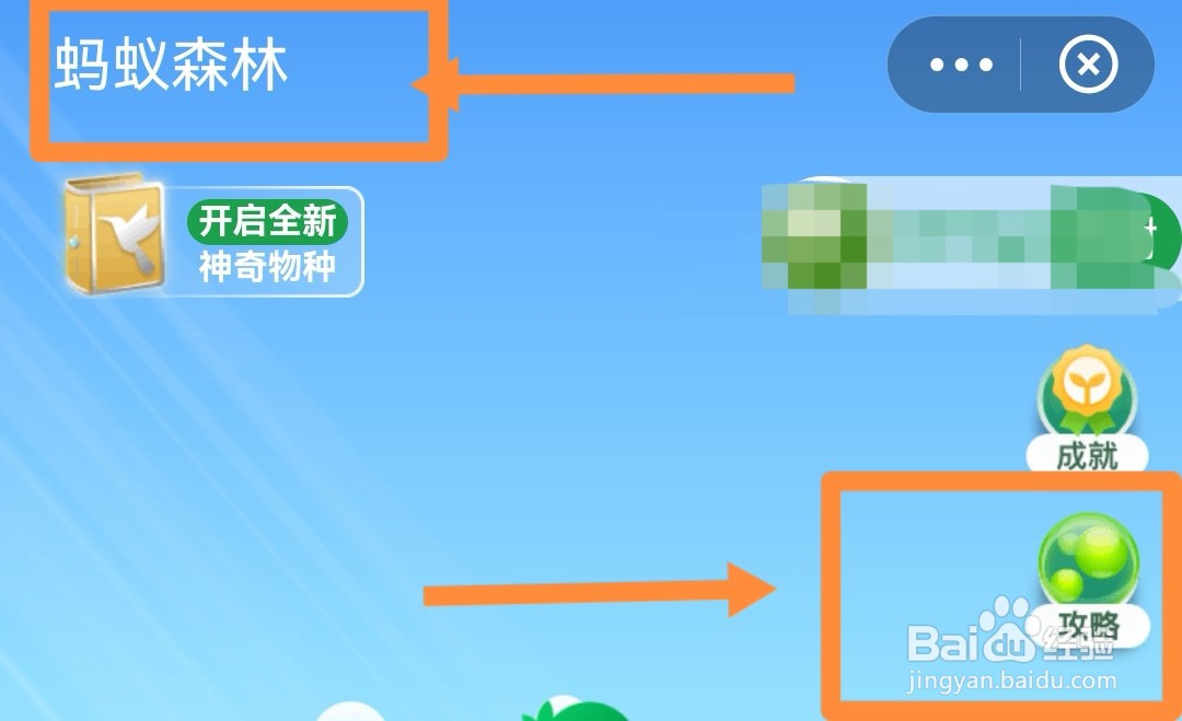 蚂蚁森林怎么买电影票