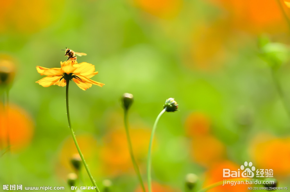 治冻疮，冻疮治疗