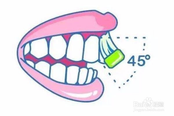 正确的刷牙步骤是什么样的