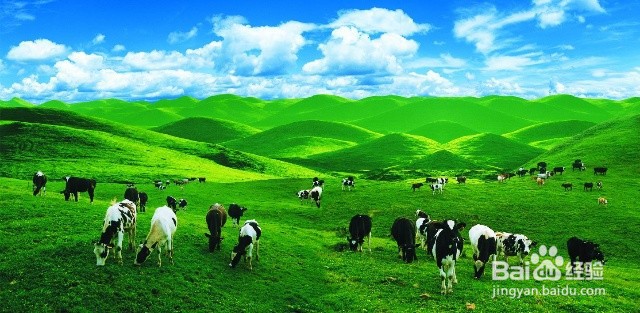 邵阳有什么好玩的景点