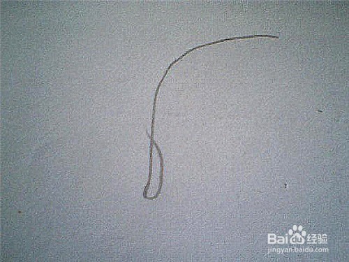 简笔画芦苇的画法