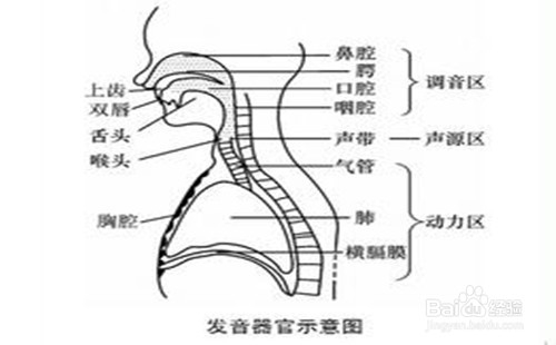 如何使自己的音质优美