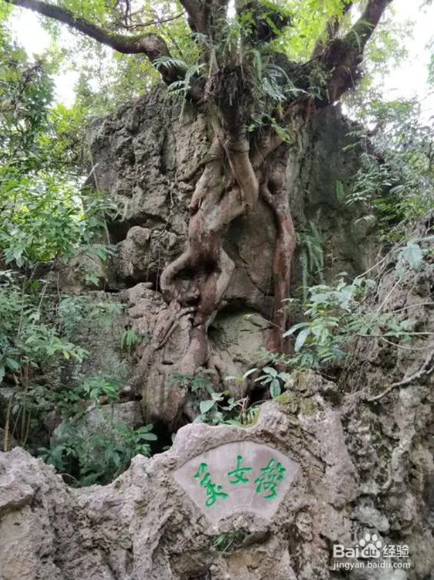 黄果树景区一日游最佳攻略