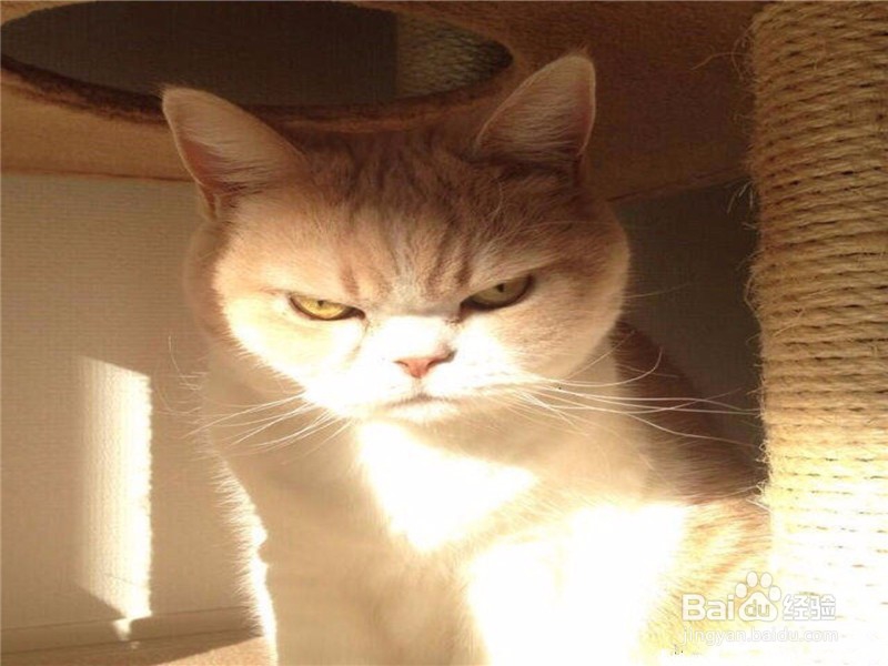 在公交车上遇到色狼怎么办