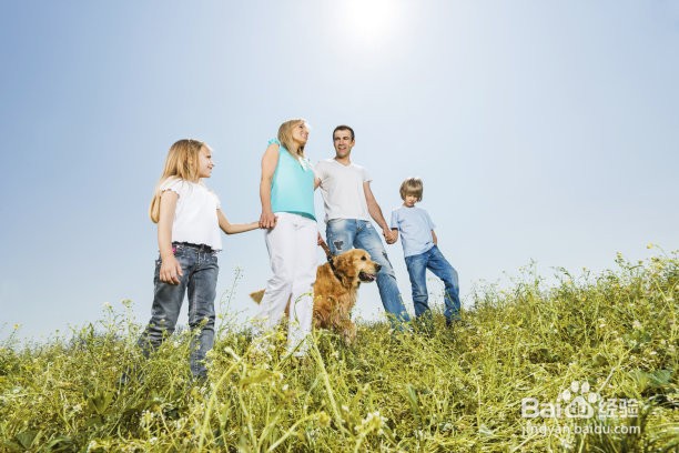 多走路运动可以降低心血管疾病的风险吗?