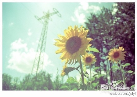 小常识:出游必带的三种急救用品