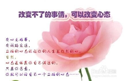 即将中考,如何快速提高数学考试成绩