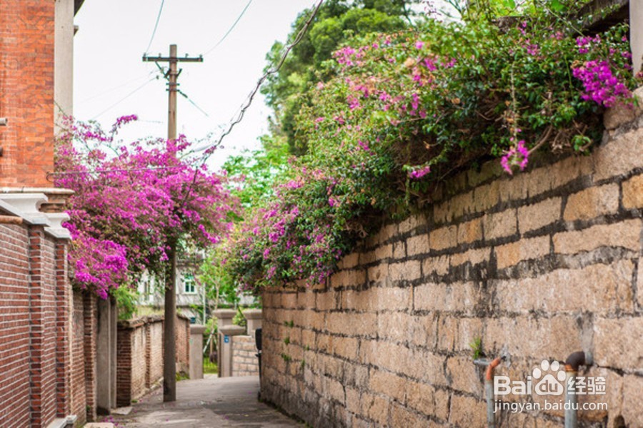 夏天来厦门不可错过的事情 来厦门必做的八件事