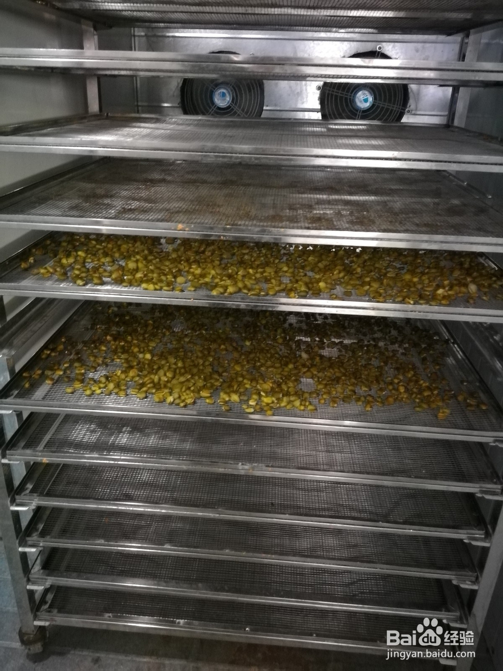 榄钱烘干机的烘干时间计算及烘干系统容量的配置