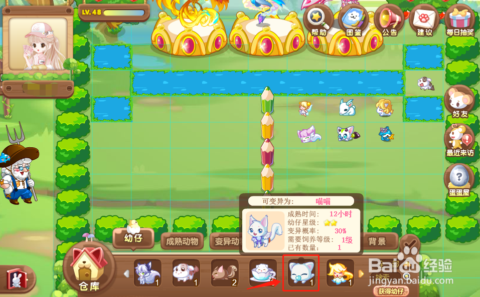 奥比岛中的动物喵喵怎么获得